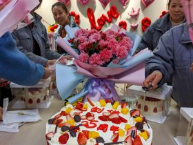 压球在线(中国)唯一官方网站
举办三八妇女节活动